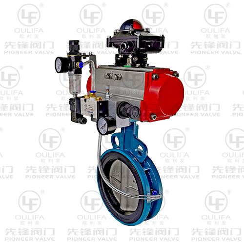 Pneumatic Inflatable Butterfly Valve CD671X-16